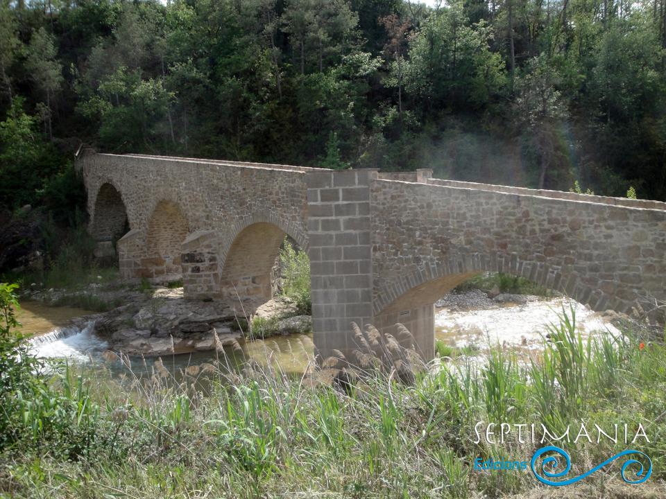 16.5.2024 Un altre aspecte del pont d'Ogern.  -  J. Bibià