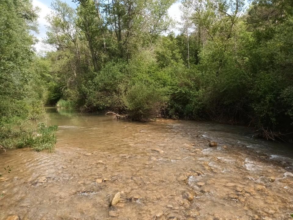 16.5.2024 La Ribera Salada. Antigament coneguda com el riu Altès.  Ogern -  J. Bibià